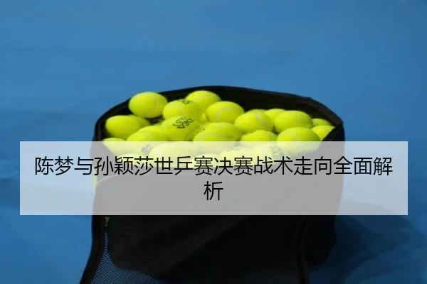 陈梦与孙颖莎世乒赛决赛战术走向全面解析 | feifan